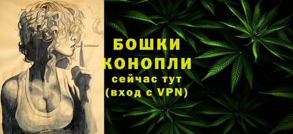 Альфа ПВП Аркадак