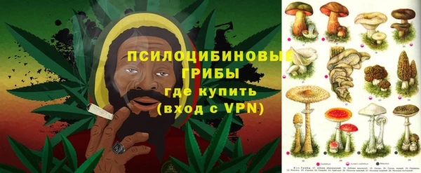 Альфа ПВП Аркадак