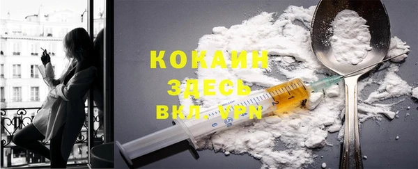 Альфа ПВП Аркадак